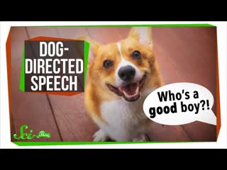 Why Do We Talk To Dogs Like That