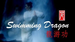 Swimming Dragon Qigong for Longevity  with Vivien Chao
