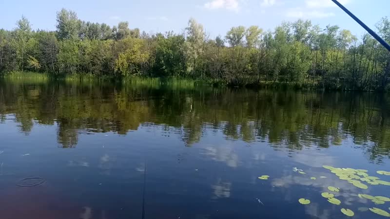 В мордово в заливах