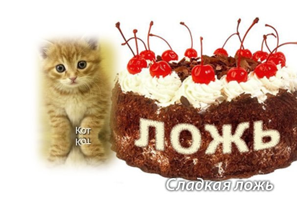 Елизавета Беляева | Самара