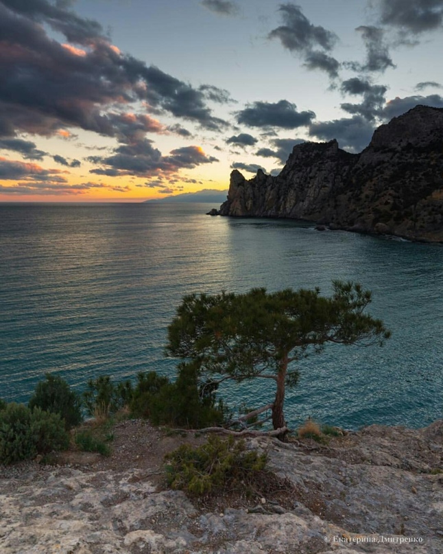 Елена Величко | Санкт-Петербург