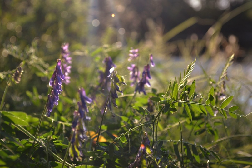 Алина Шаталова | Москва