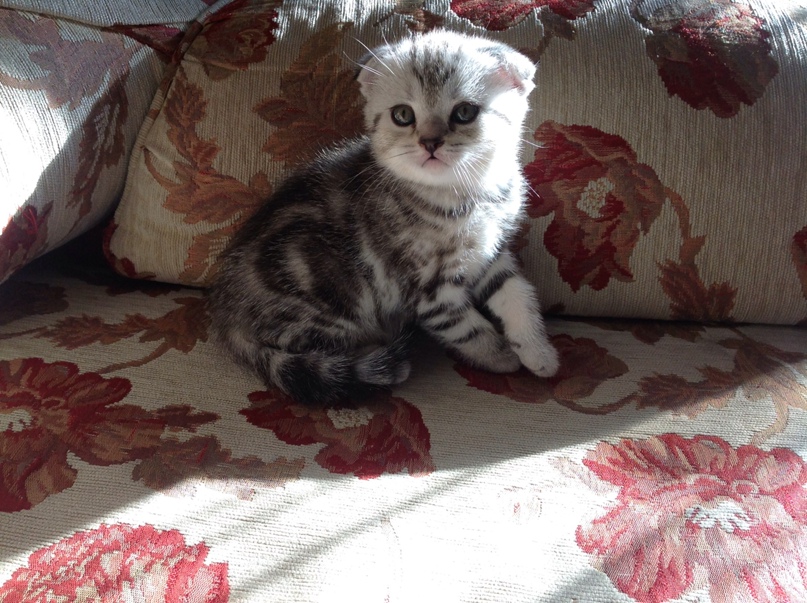 Жанна Тихонова | Екатеринбург