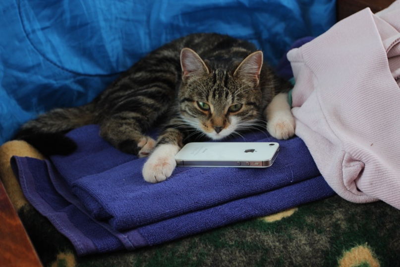 Олег Миронов | Бокситогорск