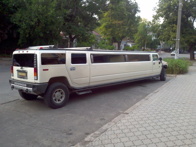 Дмитрий Жадан | Николаев