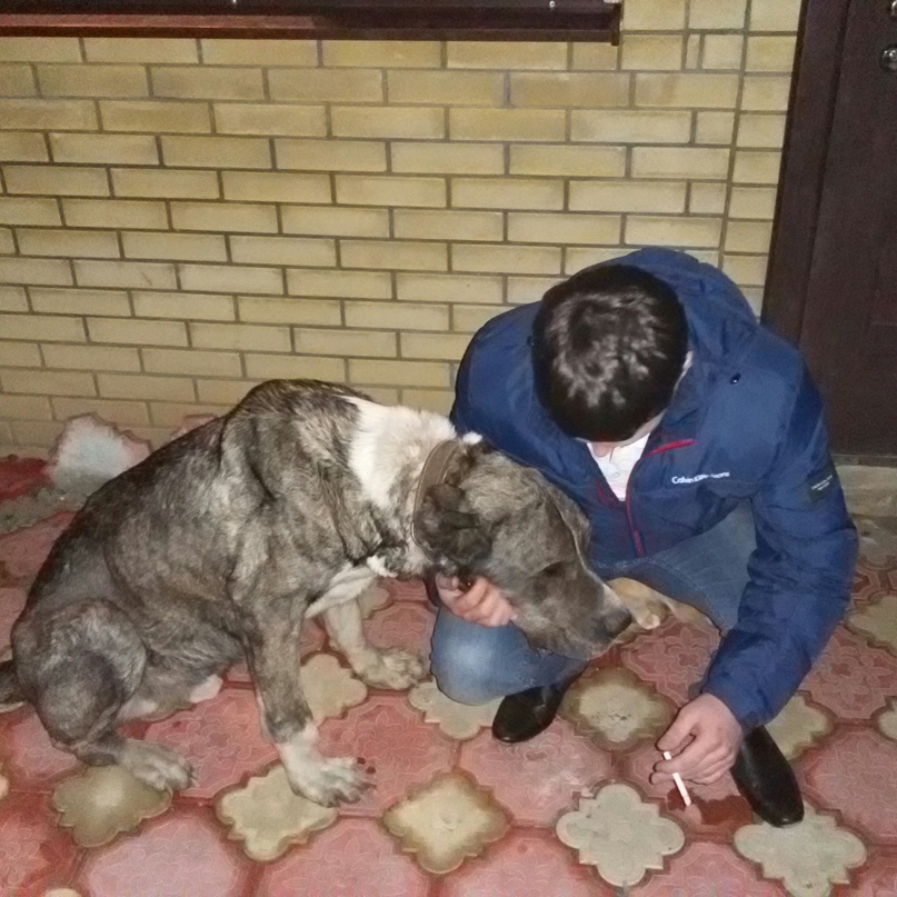 Константин Михайлов | Благодарный