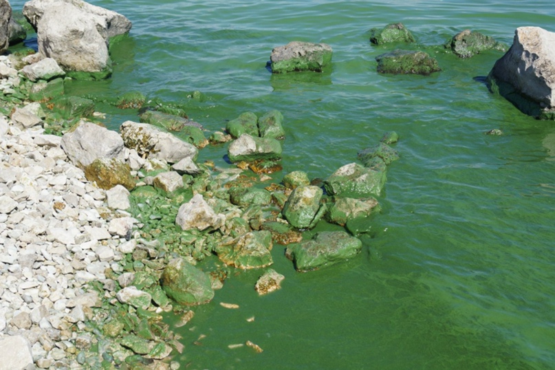 Анастасия Севостьянова | Самара