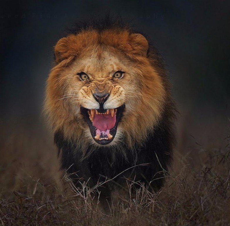 Руслан Насибуллин | Казань