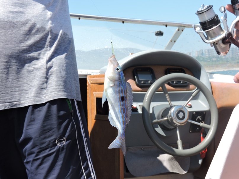 Ольга Курбатова | Великие Луки