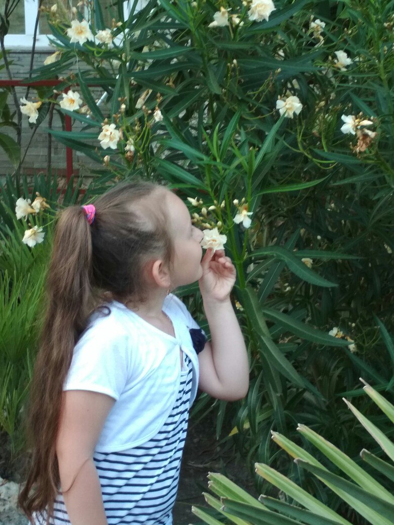 Игорь Михайлов | Ярославль