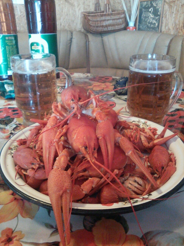 Алексей Лысенко | Васильковка