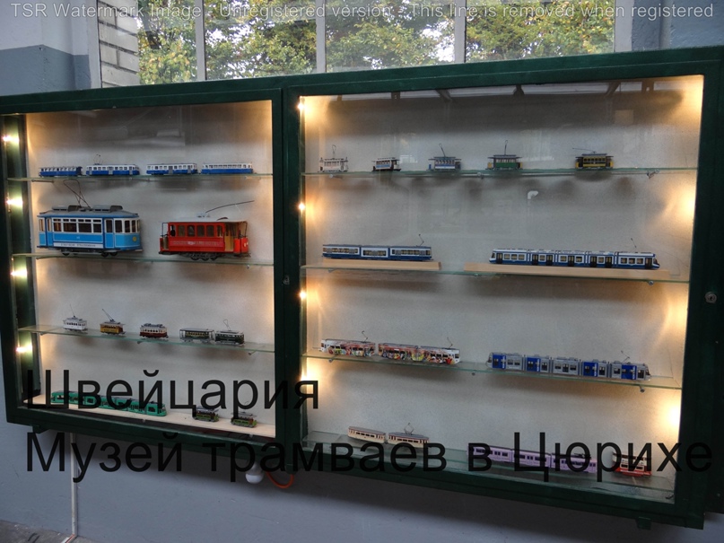 Александр Гржеляк | Санкт-Петербург