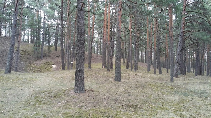 Дмитрий Сафонов | Москва