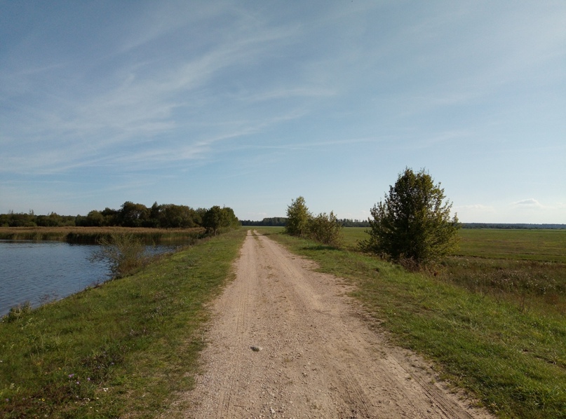 Александр Ивановский | Сморгонь