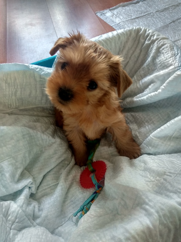 Светлана Ваганова | Кандалакша