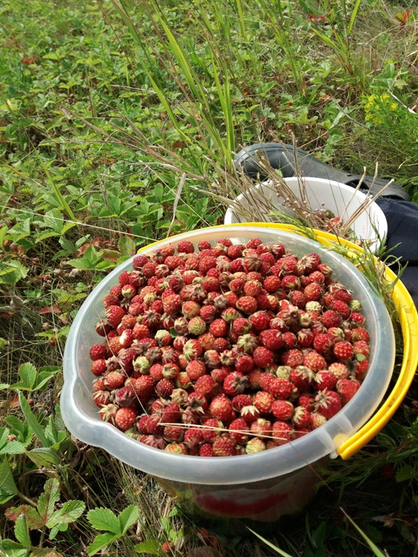 Светлана Богданова | Новосибирск