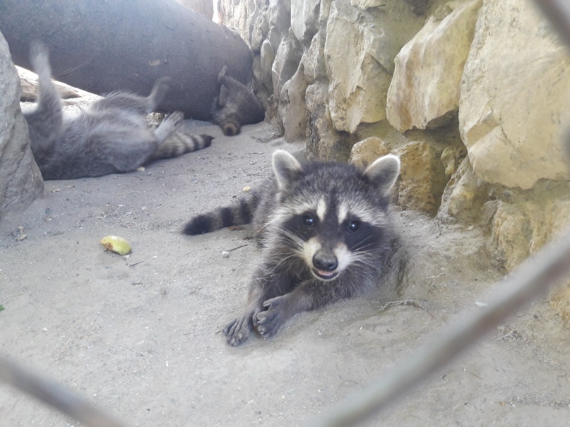 Екатерина Солдатова | Курск