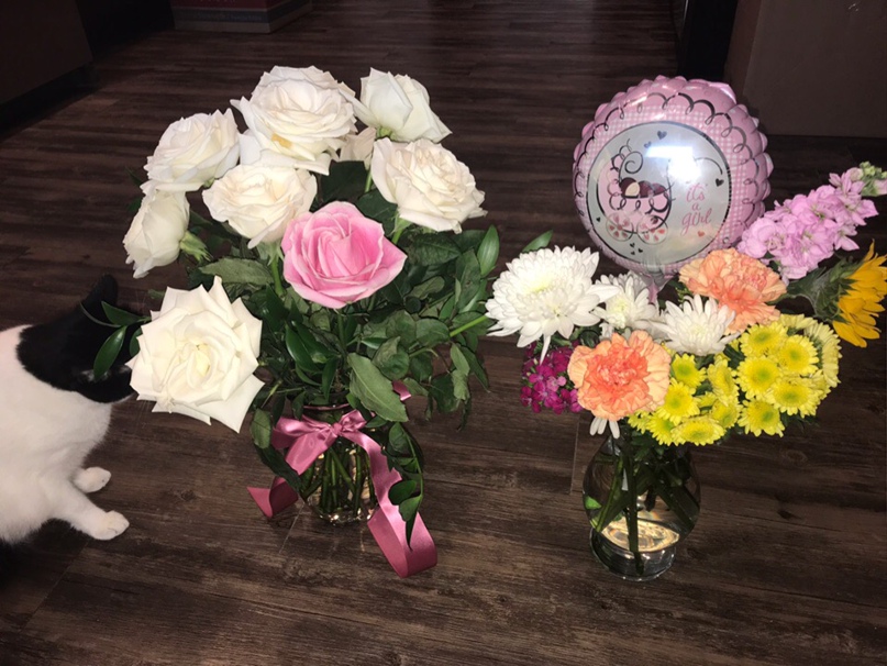 Елена Горюнова | Des Moines