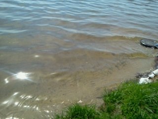 Татьяна Москаленко | Москва