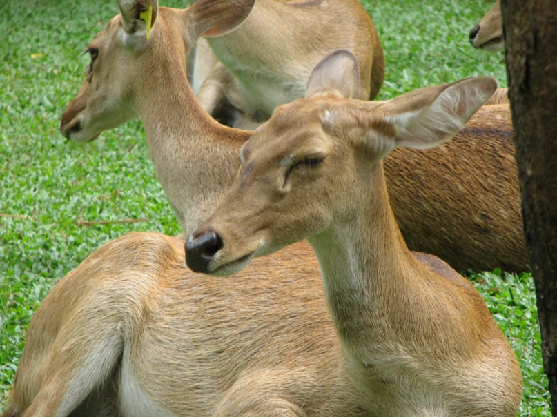 Алексей Солонин | Жуковский