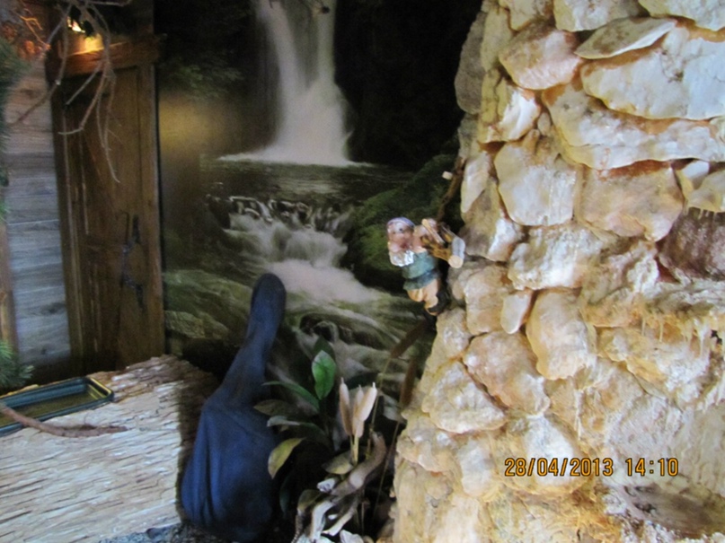 Наталья Шапкина | Архангельск