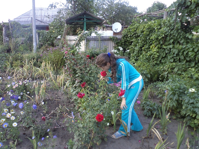 Светлана Яровая | Обжилое