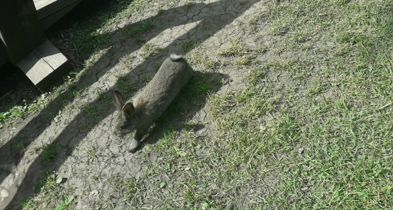 Ирина Абрамова | Кемерово