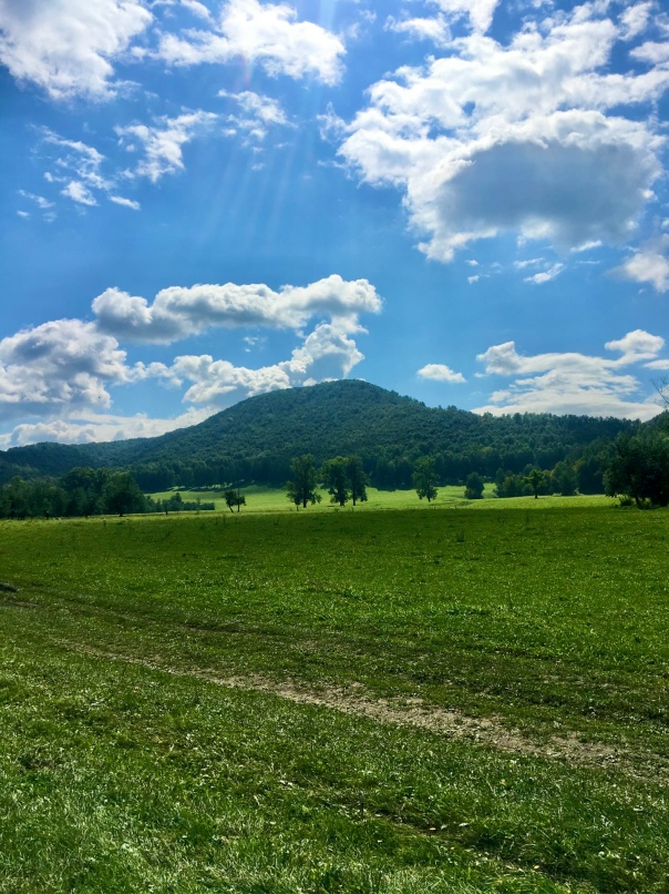 Алексей Аксёненко | Пенза