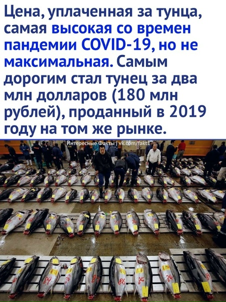 Дорогая рыбка...