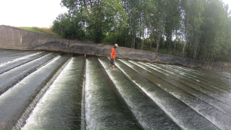 Николай Бузук | Минск