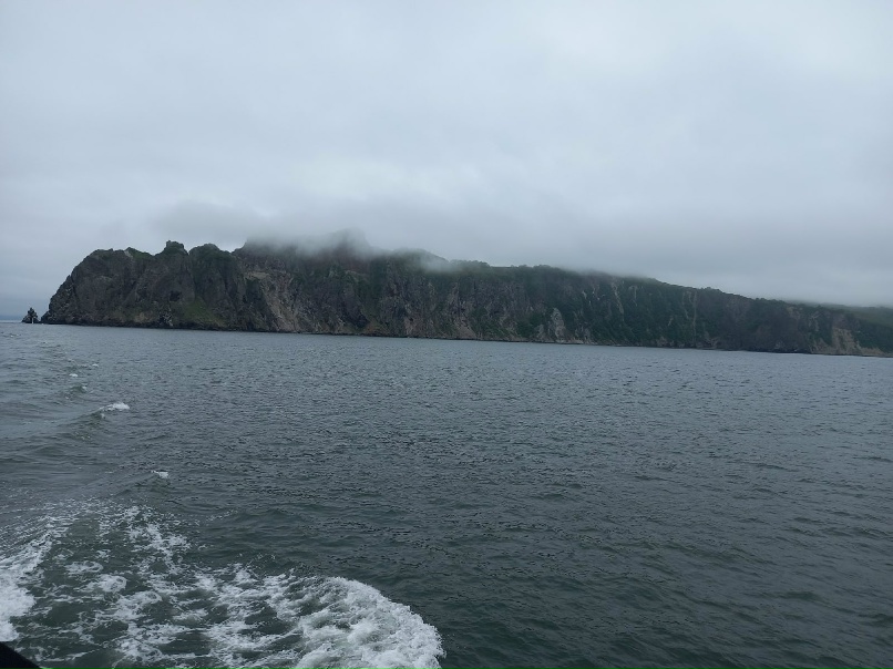 Ольга Алексеева | Москва