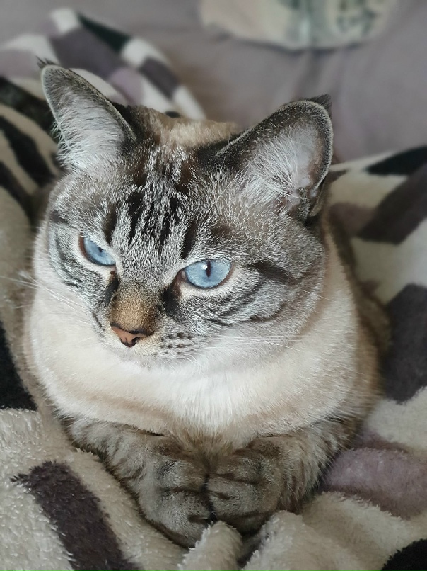 Елена Акулова | Биробиджан