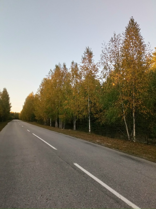 Мария Жилкина | Нижний Новгород