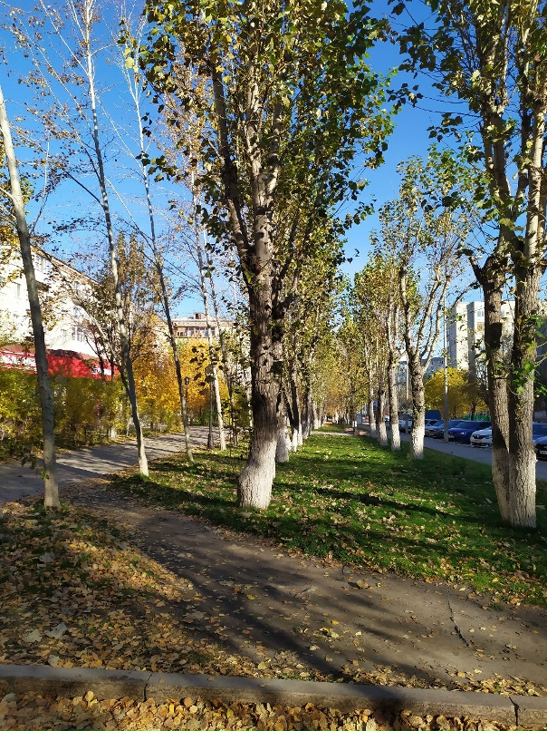 Ирина Ганиева | Тюмень
