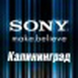 Sony Music, Калининград