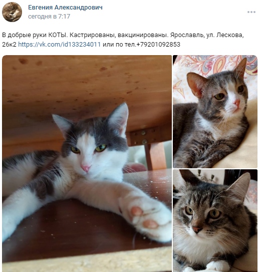 Пост добра. Потерялись / нашлись животные. Лайк...