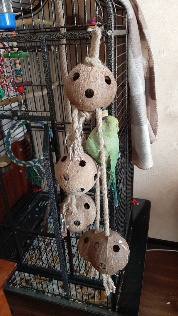 Ирина Набокова | Томск