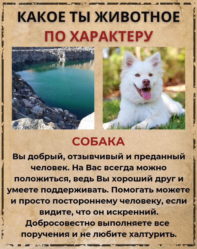 Лидия Дмитриева | Каменногорск