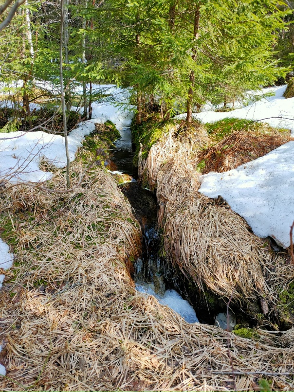 Родион Миронов | Зеленоград