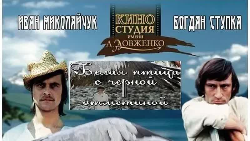 Белая птица с черной отметиной.