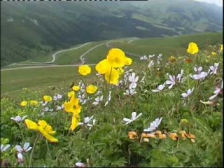 Uyghur Music: Adargul