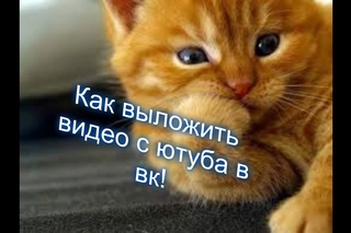 Как выложить видео в вк с ютуба!