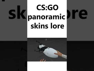 cs:go panoramic skins lore #shorts