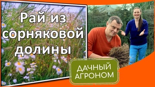 Как освоить запущенный участок Огород на целине