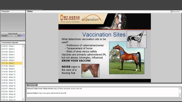 Вакцинация лошади, Vaccinating Your