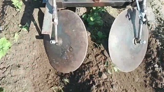 Дисковый окучник с мотоблоком мтз, первое окучивание