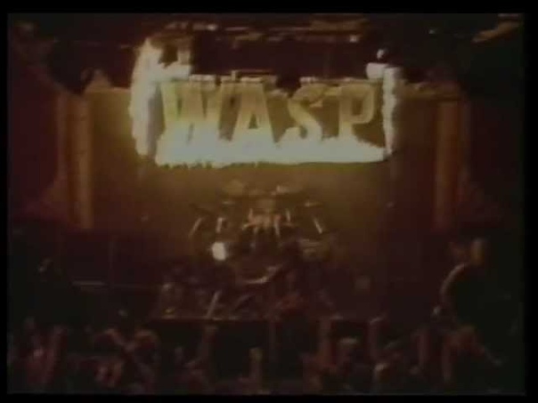 WASP Videos the raw