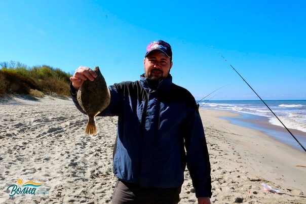 наживка на камбалу в приморье. ловля камбалы. оснастка на камбалу. рыбалка на камбалу. снасть на камбалу.