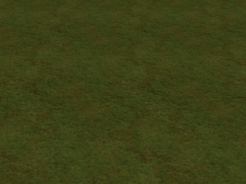 gras49