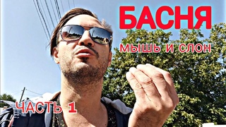 Басня про животных, поняли? часть 1 #слон #мышь #басня